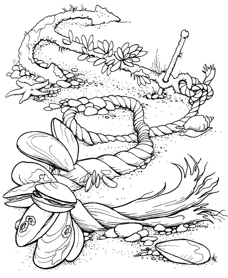 Free Ocean Coloring Pages Image 9 Coloring Pages Crafts