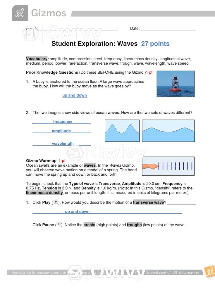 Gizmos Student Exploration| Waves| 2021 Exam Grade A+