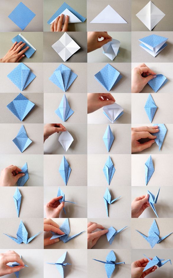 die besten 25+ papier tiere ideen auf pinterest | aktivitäten für die besten 25+ papier tiere ideen auf pinterest | aktivitäten für