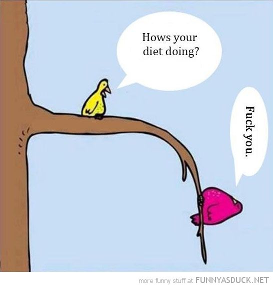 grammar your how's comic going diet diet bent bird birds fat how in tree a grammar your how's comic going diet diet bent bird birds fat how in tree a