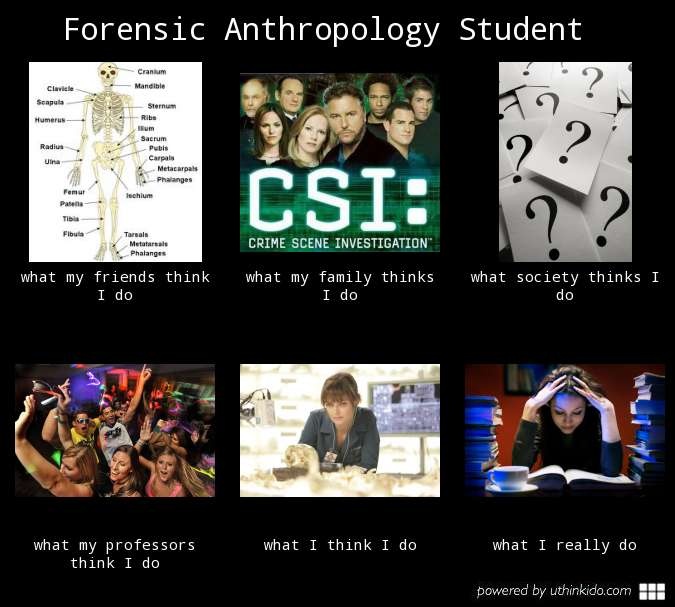 Forensic anthropology research topics