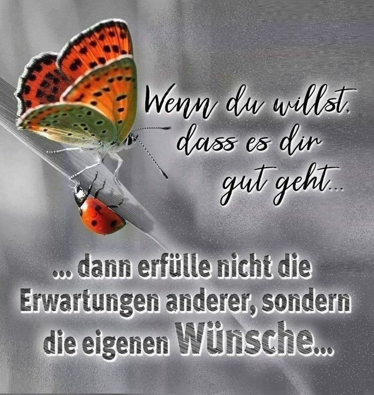 Very good saying 🤩