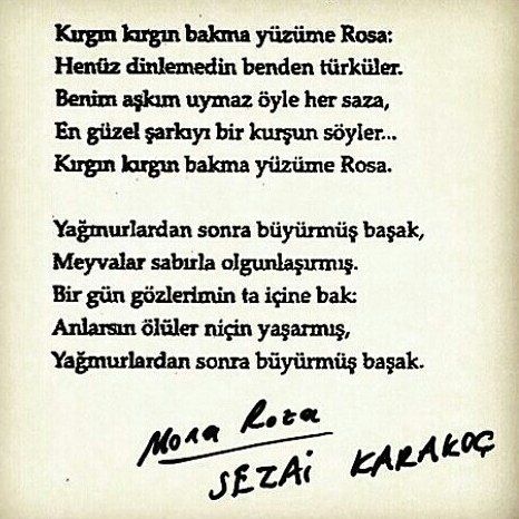 Bir Gun Gozlerimin Ta Icine Bak Anlarsin Oluler Nicin Yasarmis Sezai Karakoc Sozlerorijinal Ilham Verici Alintilar Ilham Veren Sozler Ilham Verici Sozler Bir Gun Gozlerimin Ta Icine Bak Anlarsin Oluler Nicin Yasarmis Sezai Karakoc Sozlerorijinal Ilham Verici Alintilar Ilham Veren Sozler Ilham Verici Sozler