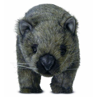 George The Wombat Living Room George The Wombat Living Room