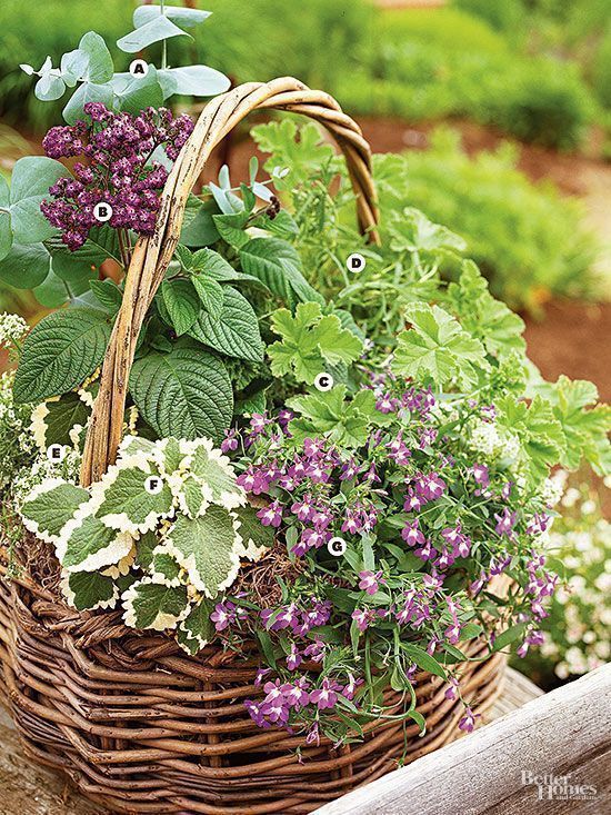 Best 25 Balcony herb gardens ideas on Pinterest A Gallery of Beautiful Container Garden Ideas Garden ideas pation backyard diy