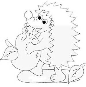 134 best Its Hedgehog Day images on Pinterest Hedgehog Hedgehogs