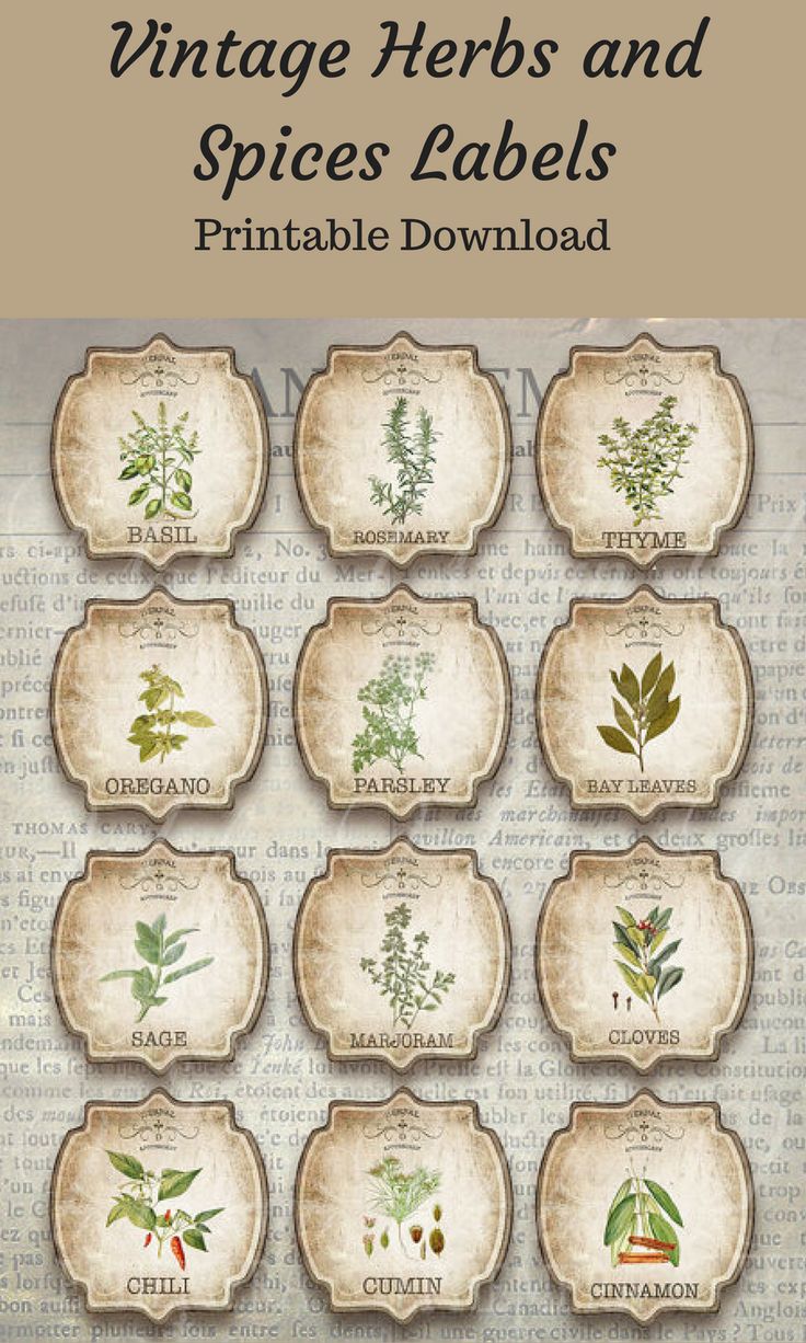 Vintage Herbs and Spices Labels,Printable Digital Graphics,Hobby Vintage Herbs and Spices Labels,Printable Digital Graphics,Hobby