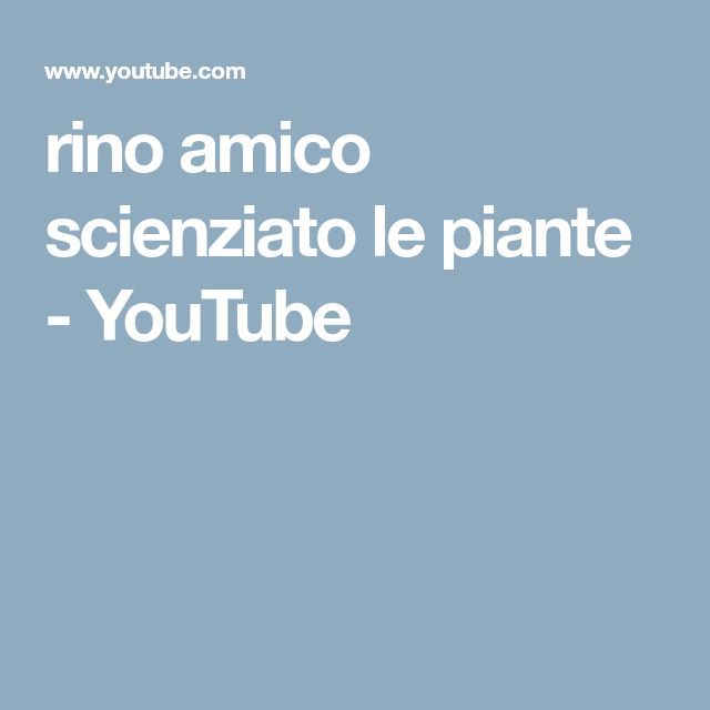 rino computerino da scaricare