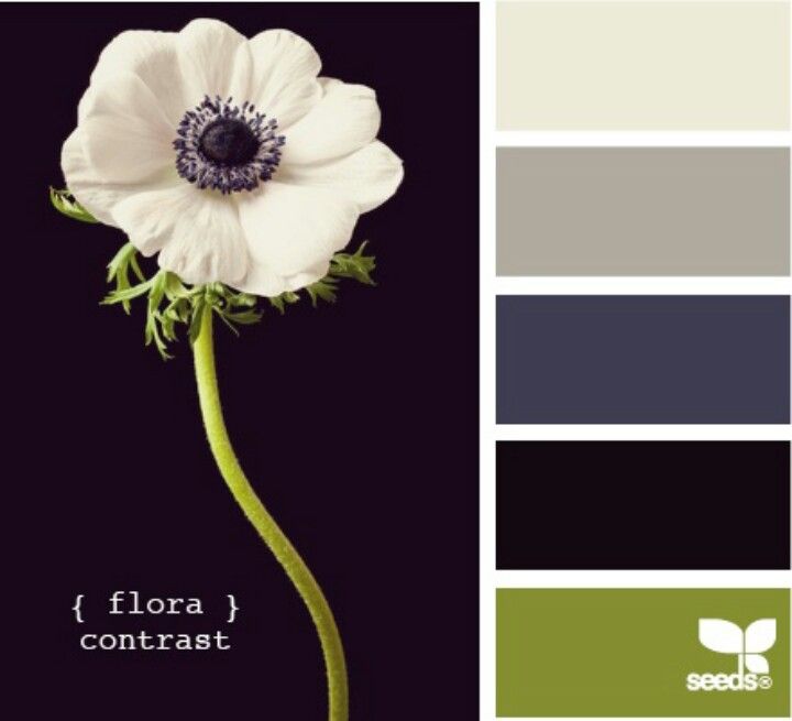 77 best color schemes images on pinterest 77 best color schemes images on pinterest
