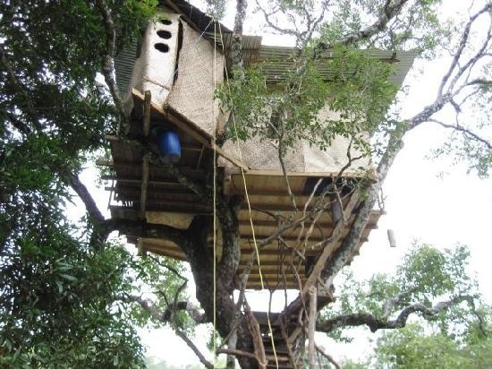Tree House Plans For Adults 37 best tree house stuff!!! images on pinterest | architecture Tree House Plans For Adults 37 best tree house stuff!!! images on pinterest | architecture