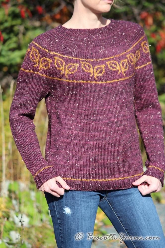 Stylecraft Femmes Tricot Motif 9623 DK Pull