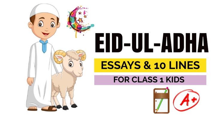 English essays for primary students