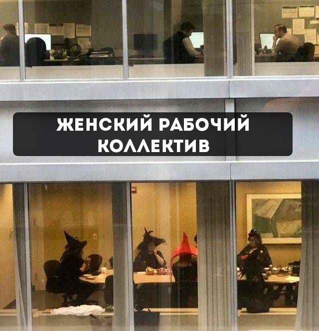 Фото Коллектива Прикольные Фото Коллектива Прикольные