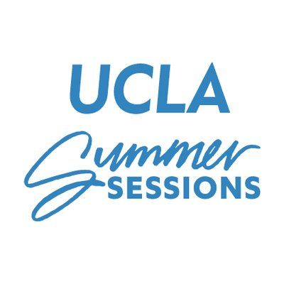 writing summer institute introduction to