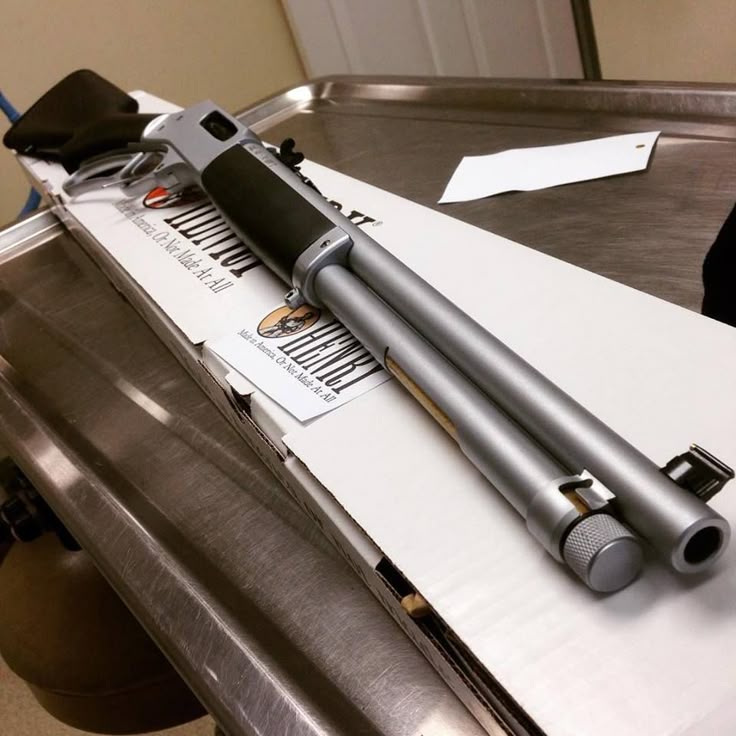Image result for HENRY BIG BOY ALL-WEATHER: THE RENAISSANCE RIFLE