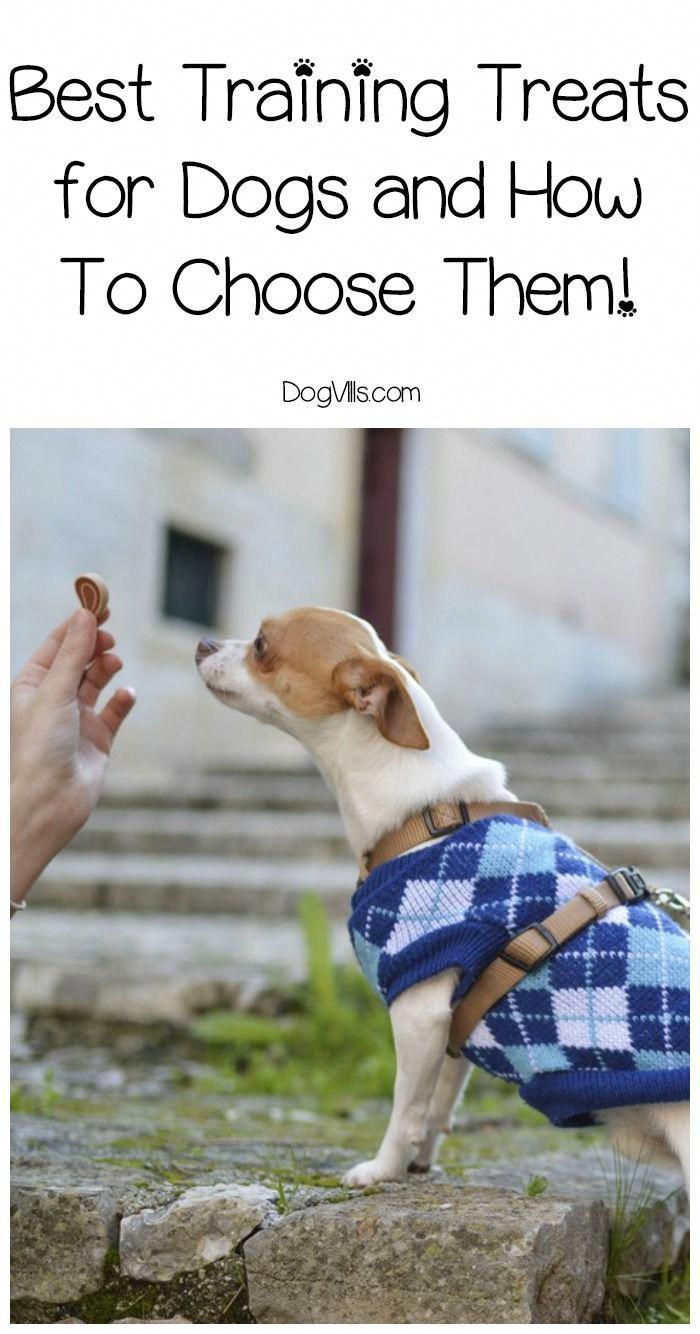 Dog Training Step By Step Guide #LowCostDogClinic