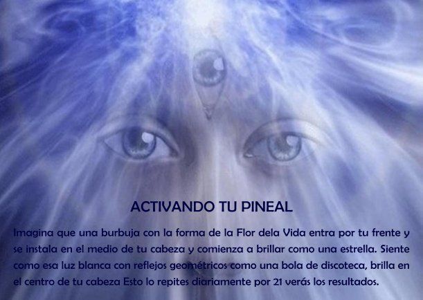 Gráficos De Escritores De Espiritualidad En 2021 Mente Cuerpo Y Espíritu Espiritualidad Poder De La Mente
