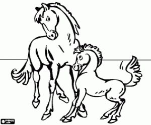 Horses coloring pages printable games 3 Horse coloring pages