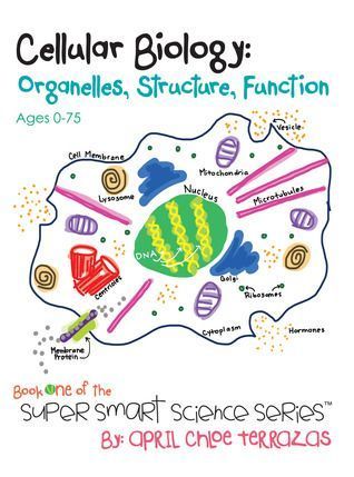 Are All Bacteria Dangerous Biology Book for Kids Childrens Biology Books