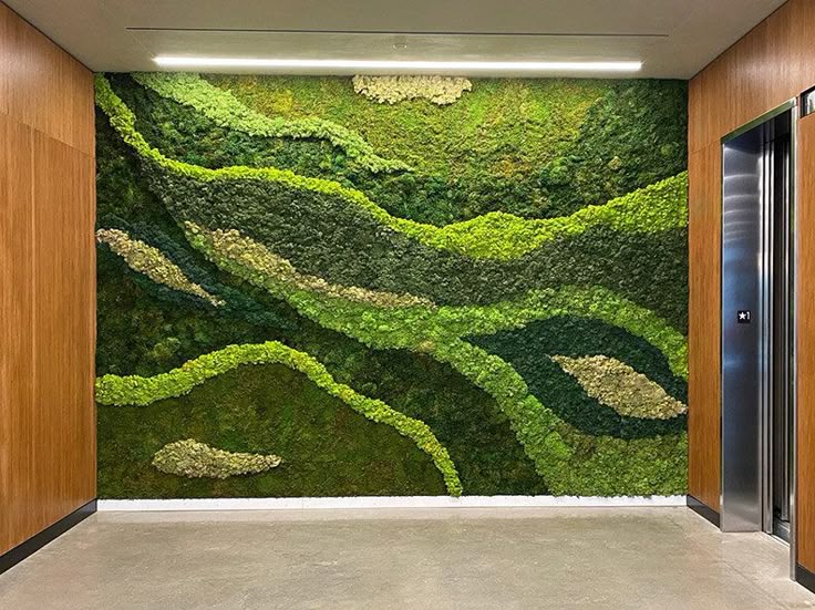 How to build a living moss wall