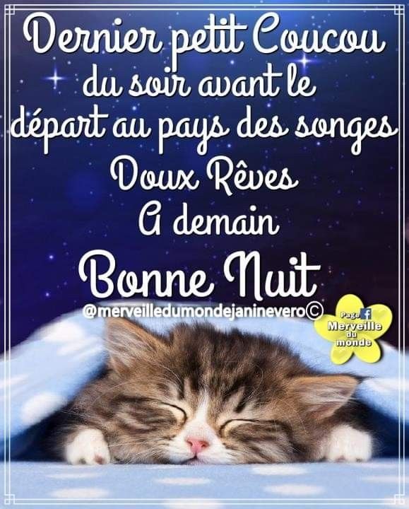 Epingle Par N Ivaldi Sur Bon The Carte Bonne Nuit Souhaiter Bonne Nuit Message Bonne Nuit Nel 21 Buongiorno Pinterest Epingle Par N Ivaldi Sur Bon The Carte Bonne Nuit Souhaiter Bonne Nuit Message Bonne Nuit Nel 21 Buongiorno Pinterest