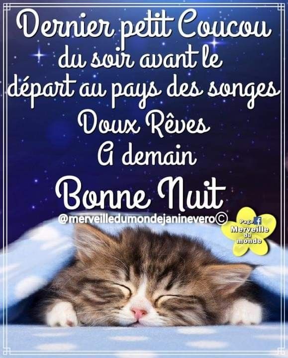 16+ Message bonne nuit 