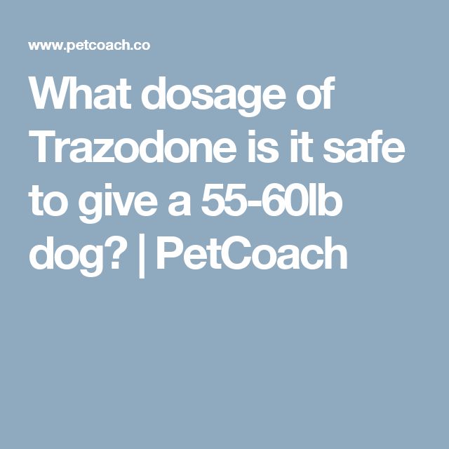 what dosage of trazdone is it safe to give a 5 - 60lb dog? petcoach