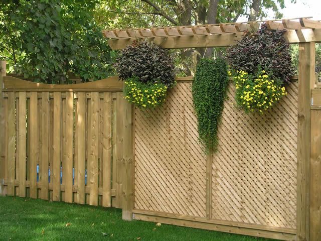 Garden Ideas To Hide Fence best 25+ backyard privacy ideas only on pinterest | patio privacy Garden Ideas To Hide Fence best 25+ backyard privacy ideas only on pinterest | patio privacy
