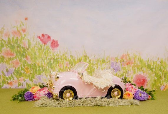 Digital Newborn Pink Car In The Park Backdrop One Of A Kind Prop Digital Backdrops Backdrops Baby Backdrop Digital Newborn Pink Car In The Park Backdrop One Of A Kind Prop Digital Backdrops Backdrops Baby Backdrop