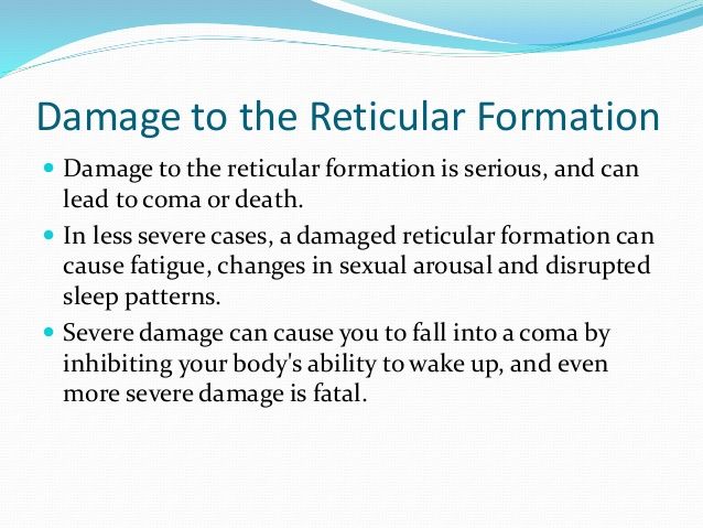 reticular formation function