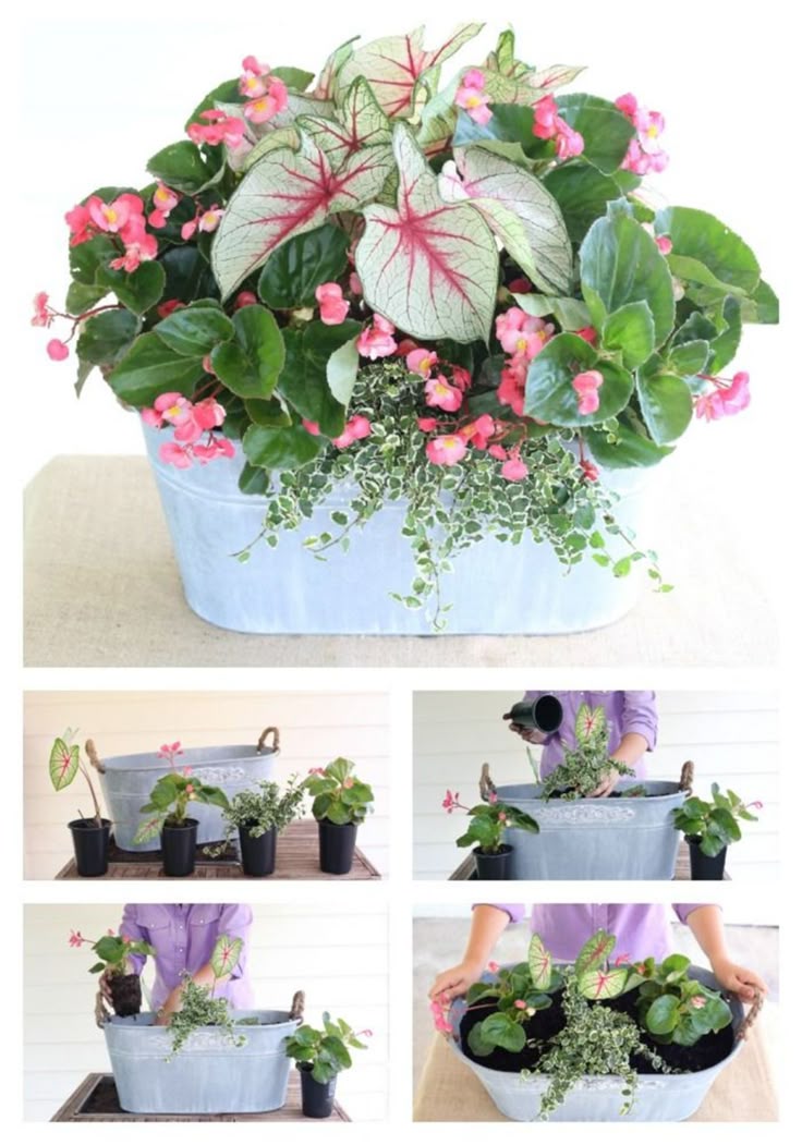 Adorable 30 Shady Gardens Design Ideas to Refresh Your Home Air decoretoo.com/.....