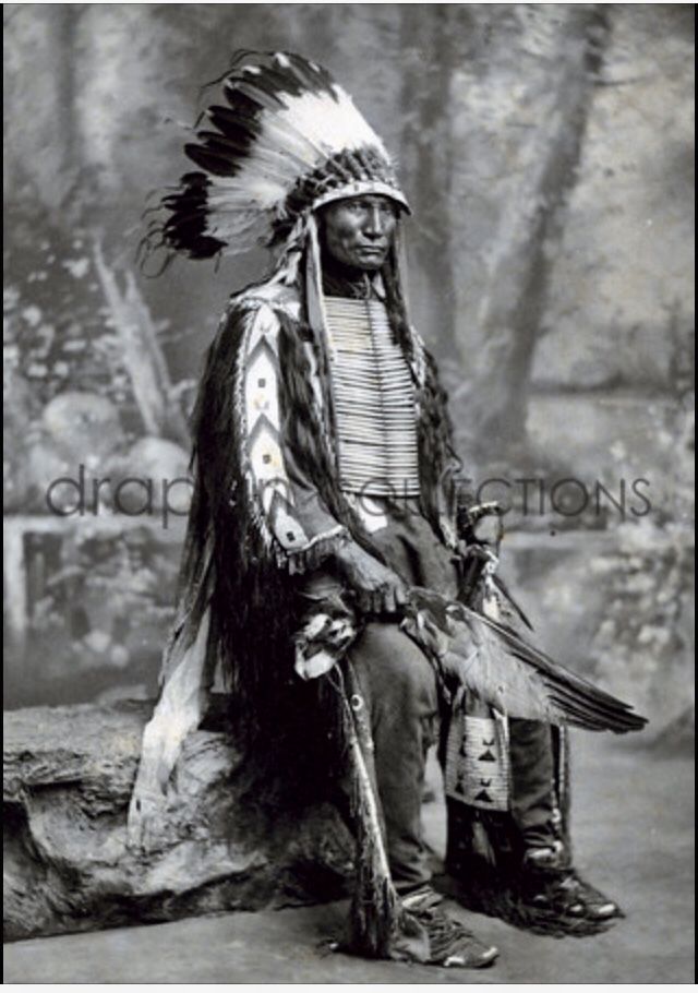Pin On Extinction Of The Native Warrior Culture