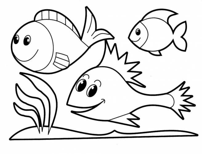 fish coloring sheets coloring pages for kids online fish coloring sheets in painting picture coloring page colouring fish coloring sheets fresh in - Coloring Pages For Kids fish coloring sheets coloring pages for kids online fish coloring sheets in painting picture coloring page colouring fish coloring sheets fresh in - Coloring Pages For Kids