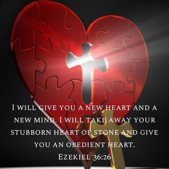 Ezekiel 36:26 I will give you a new heart and a new mind. I will take away your stubborn heart of stone and give you an ob… |
Good news bible, Bible
