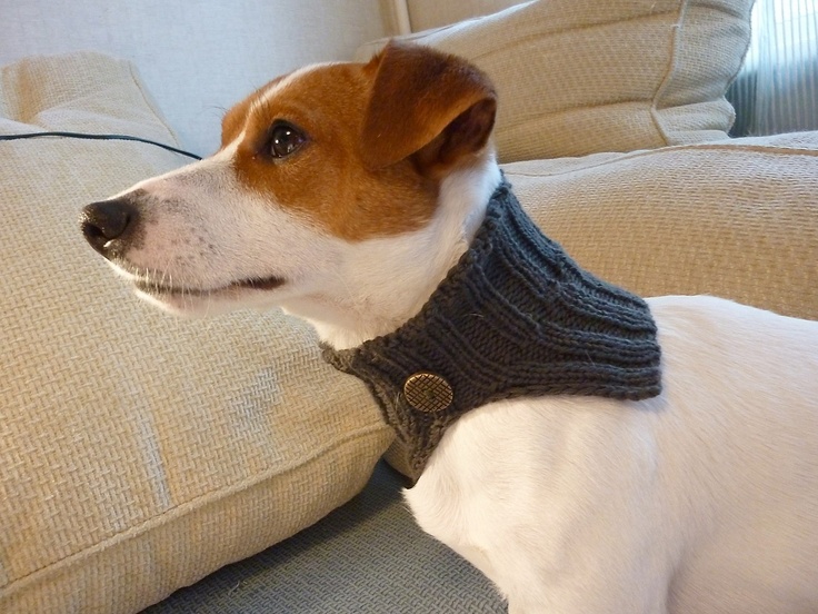 Free Patterns Cowl Neck Scarf For Large Dogs Free Patterns Cowl Neck Scarf For Large Dogs