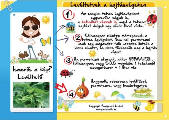 ismerősök öntsük madagaszkári találkozó helyén franciaország