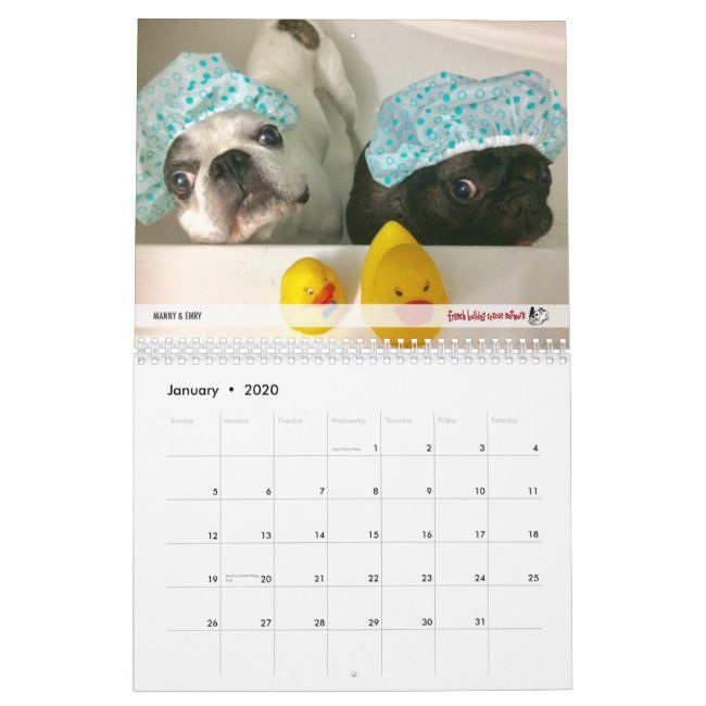 2020 Fbrn French Bulldog Calendar Zazzle Com French Bulldog