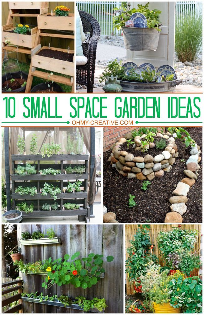 10 Small Space Garden Ideas Ohmy Creative Com Gardening Gardens 10 Small Space Garden Ideas Ohmy, Gardening Tips For Small Spaces