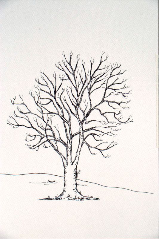 ash tree drawing Google Search Tree drawing, Tree sketches, Olive tree tattoos