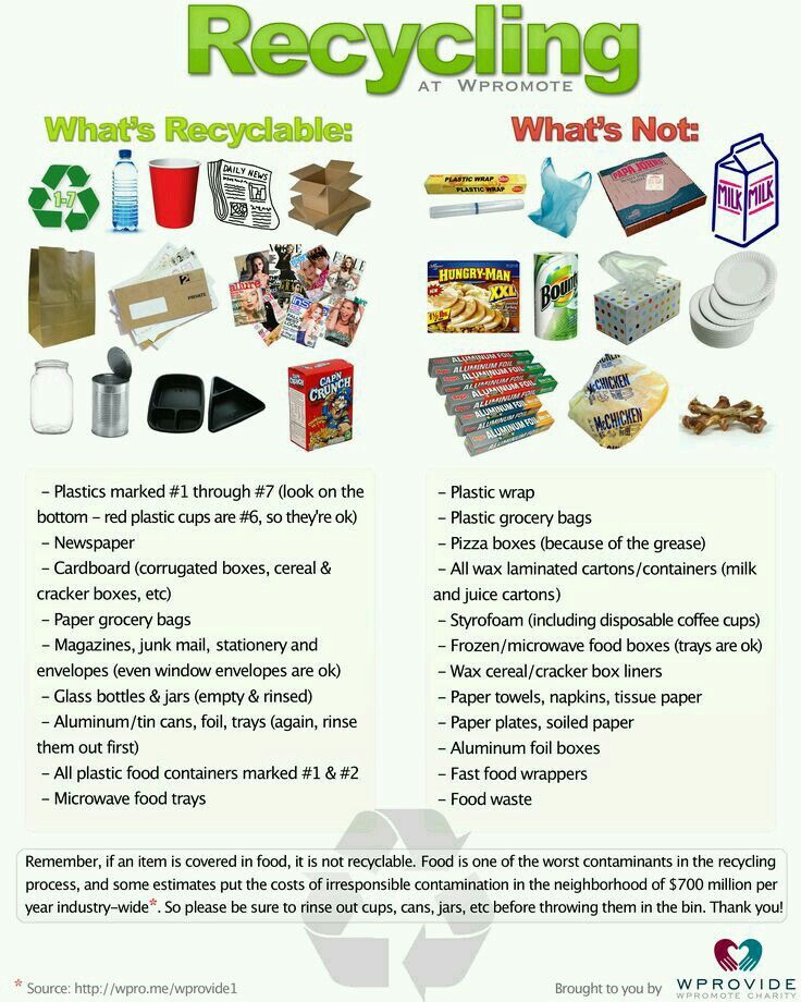Cat Food Can Recycle Center For Money Cat Food Can Recycle Center For Money