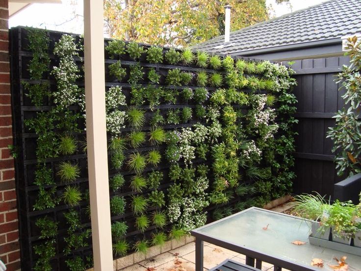 Vertical Garden Ideas Australia 54 best vertical gardens images on pinterest | vertical gardens Vertical Garden Ideas Australia 54 best vertical gardens images on pinterest | vertical gardens