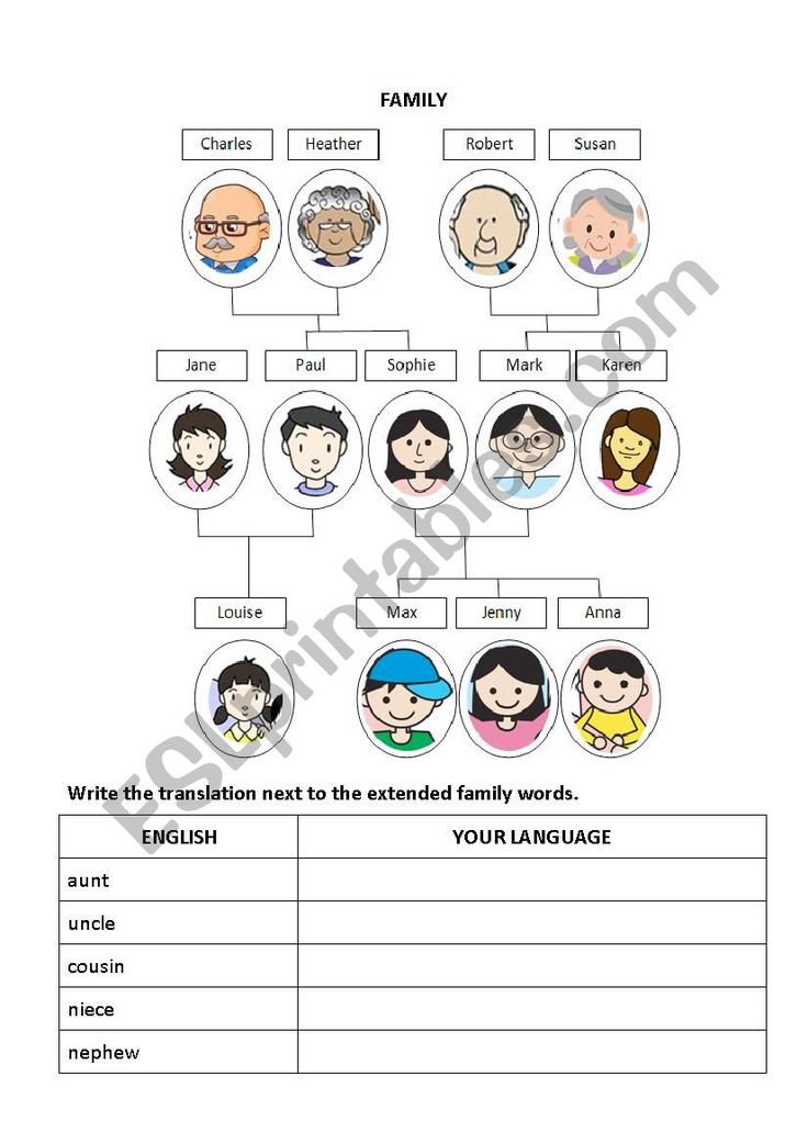 family similarities worksheet