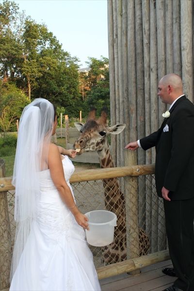 28 Best Cincinnati Wedding Venues Images On Pinterest Cincinnati Zoo Botanical Garden