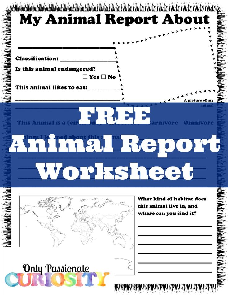96 best Homeschool - Animal Science images on Pinterest Animal - animal report template 96 best Homeschool - Animal Science images on Pinterest Animal - animal report template