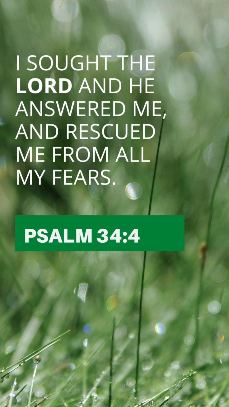 Psalm 34 4 Scripture Journaling Scripture Verses Verses january-15-2023-bible-verse-of-the-day-kjv-psalm-34-1