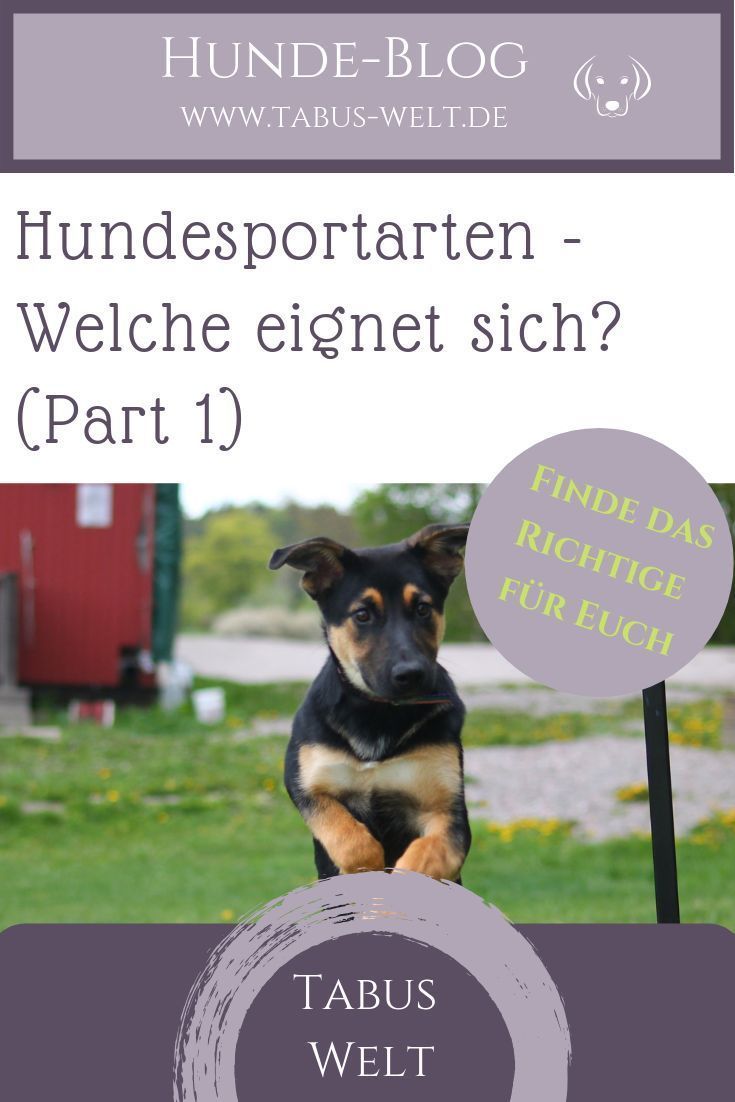 Pin auf Fitness & Gesundheit für Hunde Pin auf Fitness & Gesundheit für Hunde