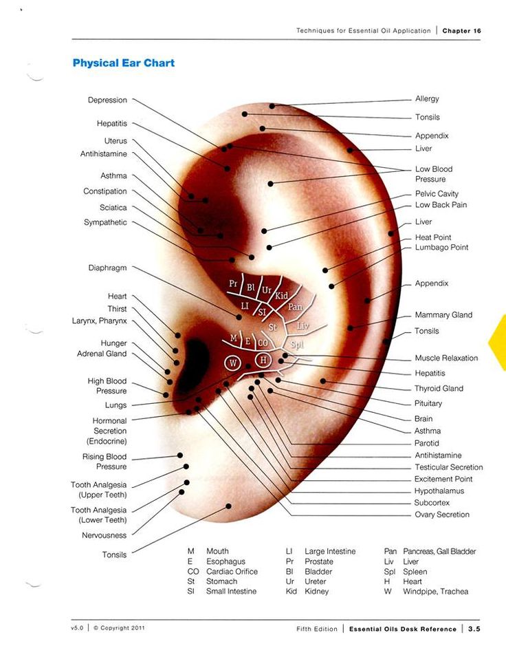 33 best ear acupressure images on pinterest acupuncture ears chart