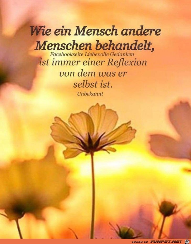 ein Bild für’s Herz ‘wie ein Mensch.jpg’- Eine von 15207 Dateien in der Kategorie ‘Sprüche’ auf FUNPOT. ein Bild für’s Herz ‘wie ein Mensch.jpg’- Eine von 15207 Dateien in der Kategorie ‘Sprüche’ auf FUNPOT.