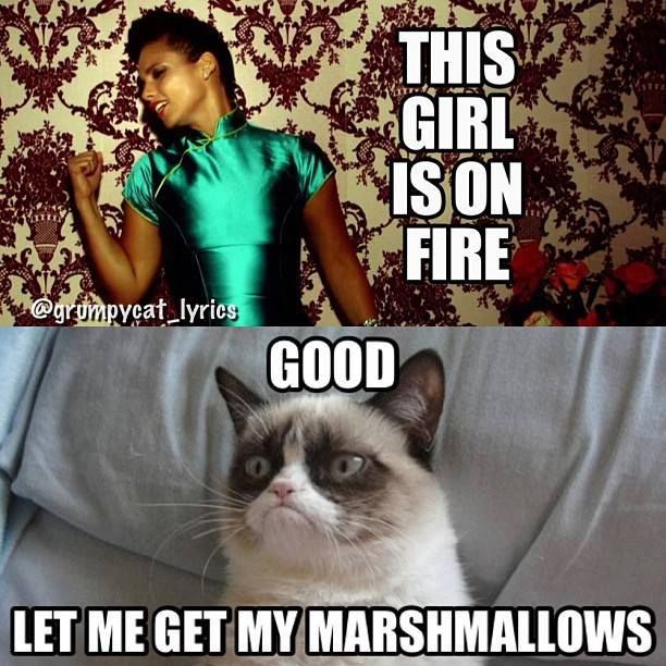 best 25 cat jokes ideas on pinterest funny cat quotes, grumpy 23af98547d8c541145208f8733442828 funny grumpy cat memes cat jokes best 25 cat jokes ideas on pinterest funny cat quotes, grumpy,Top 10 Song Memes