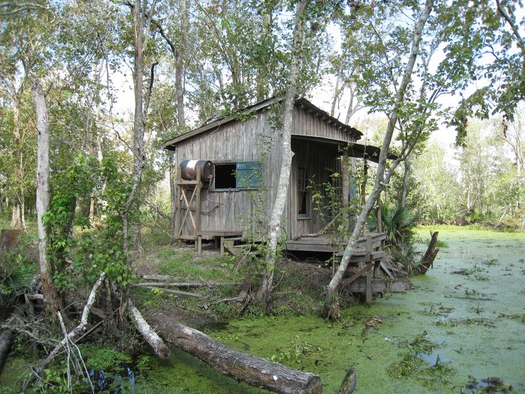 New Orleans Louisiana bayou, Louisiana swamp, Bayou